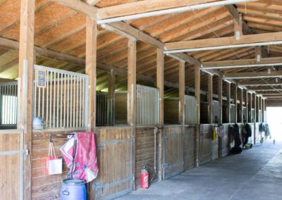 Les box dans le barn - Les Écuries du Vallon