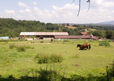 Les paddocks au dessus du barn - Les Écuries du Vallon